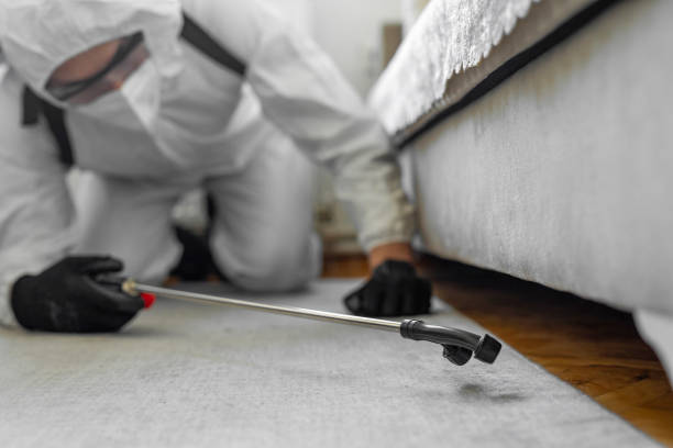 Professional Ant Control technician working in New Roads, LA